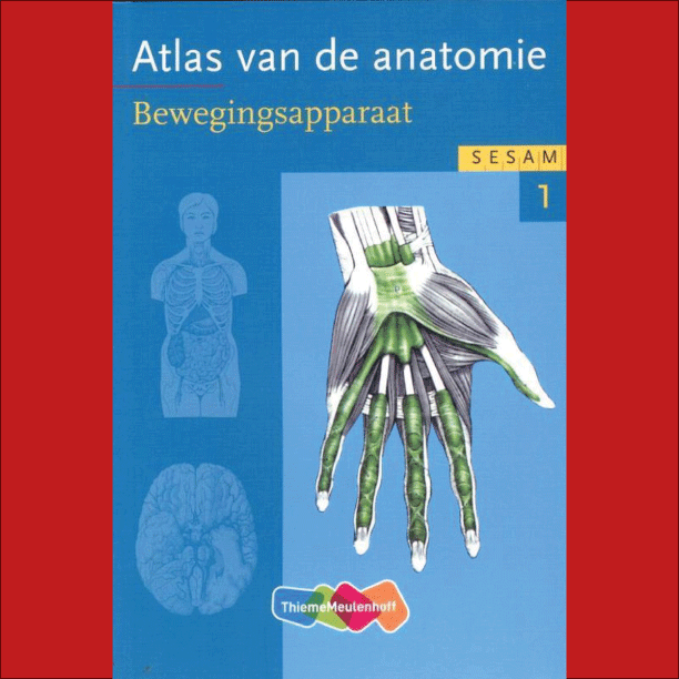1e Bachelor: Sesam atlas van de anatomie (3 delen) - W. Platzer