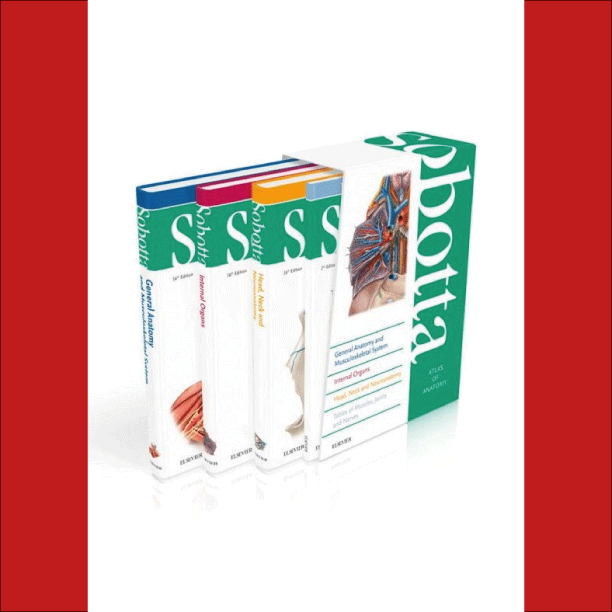 1e Bachelor: Sobotta Atlas of Anatomy package - F. Paulsen, J. Waschke